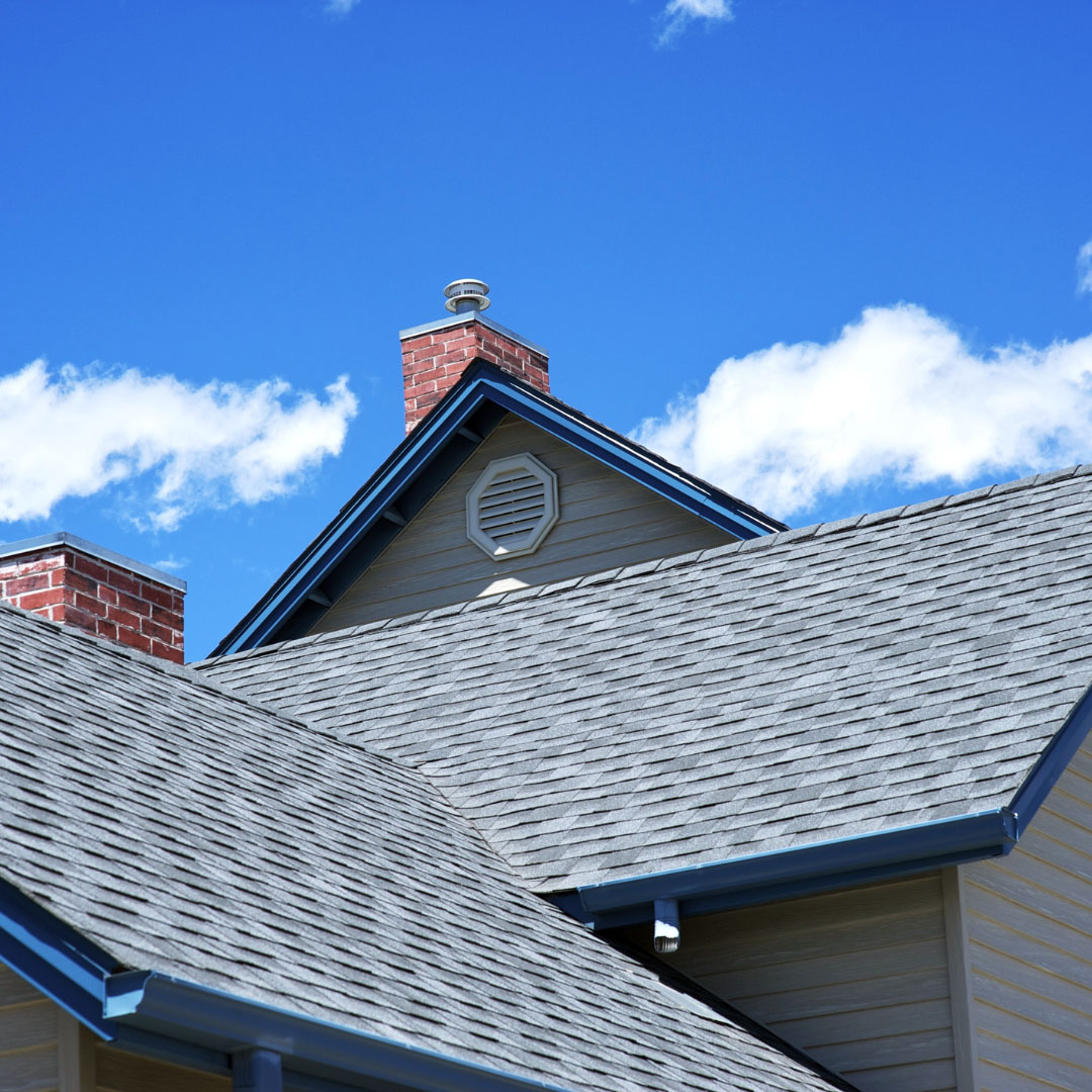 Professional roof cleaning helps maintain shingle integrity and prevents costly water damage